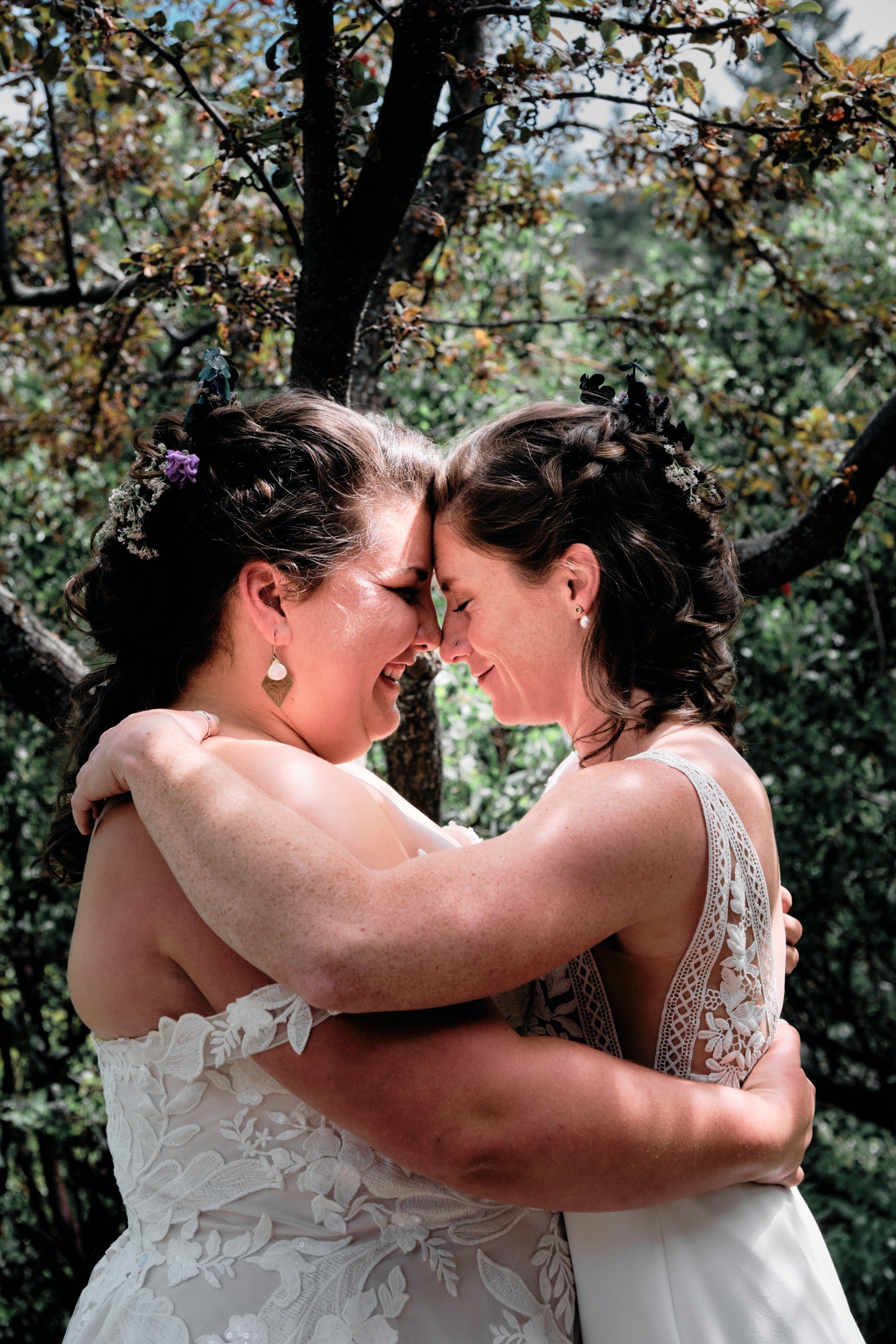 carousel-hero-element image-0