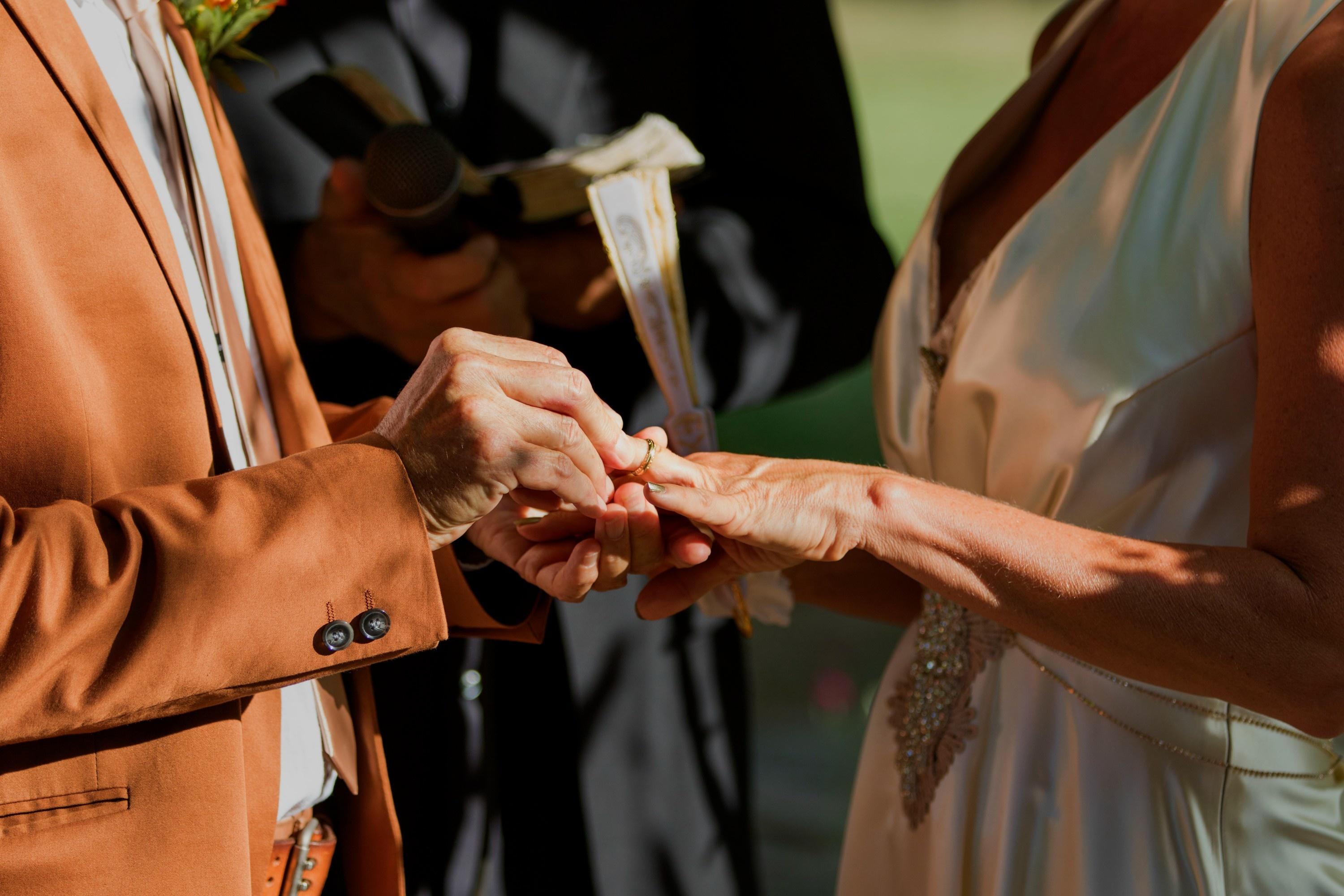 carousel-hero-element image-2